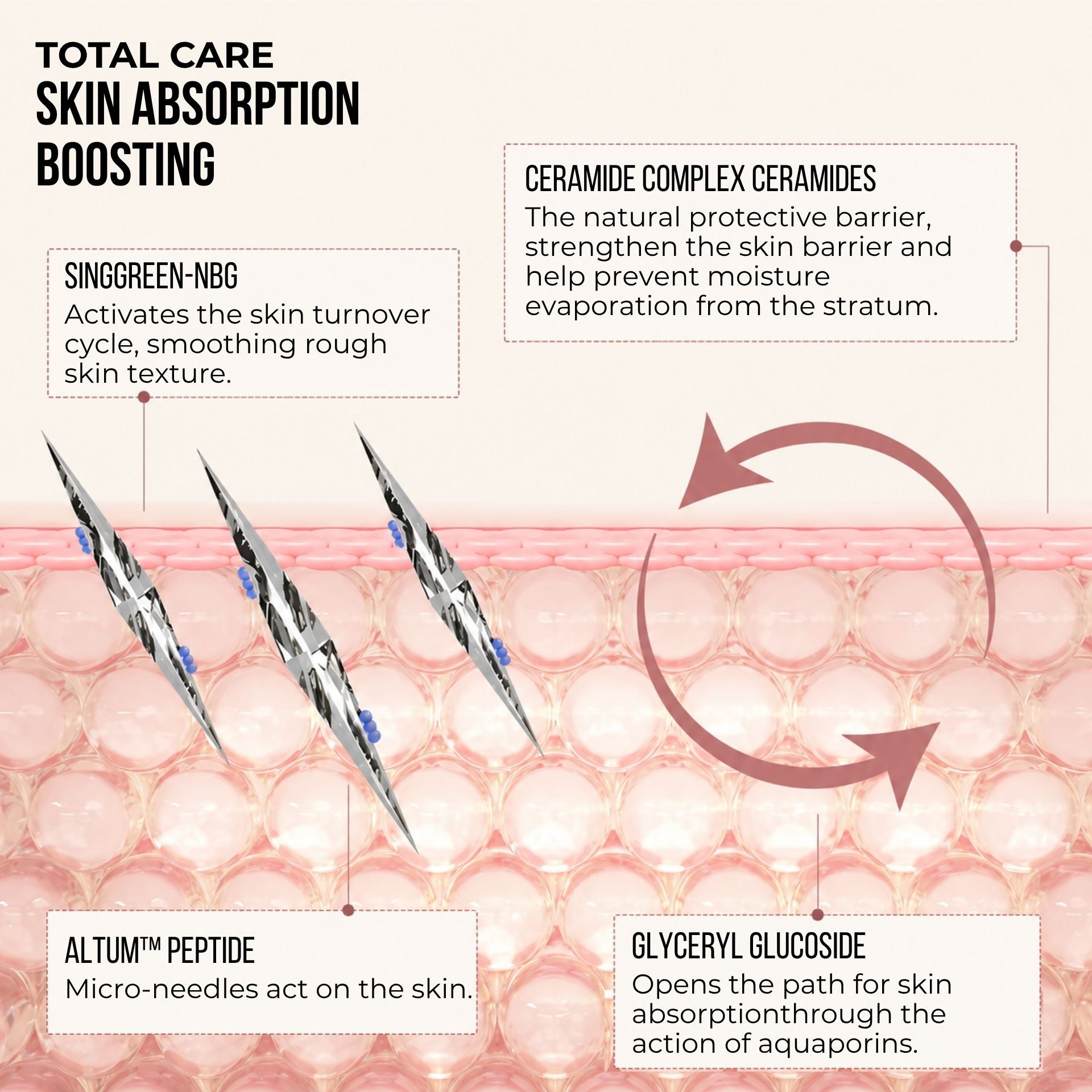 Revitalizing Spicule Boosting Serum