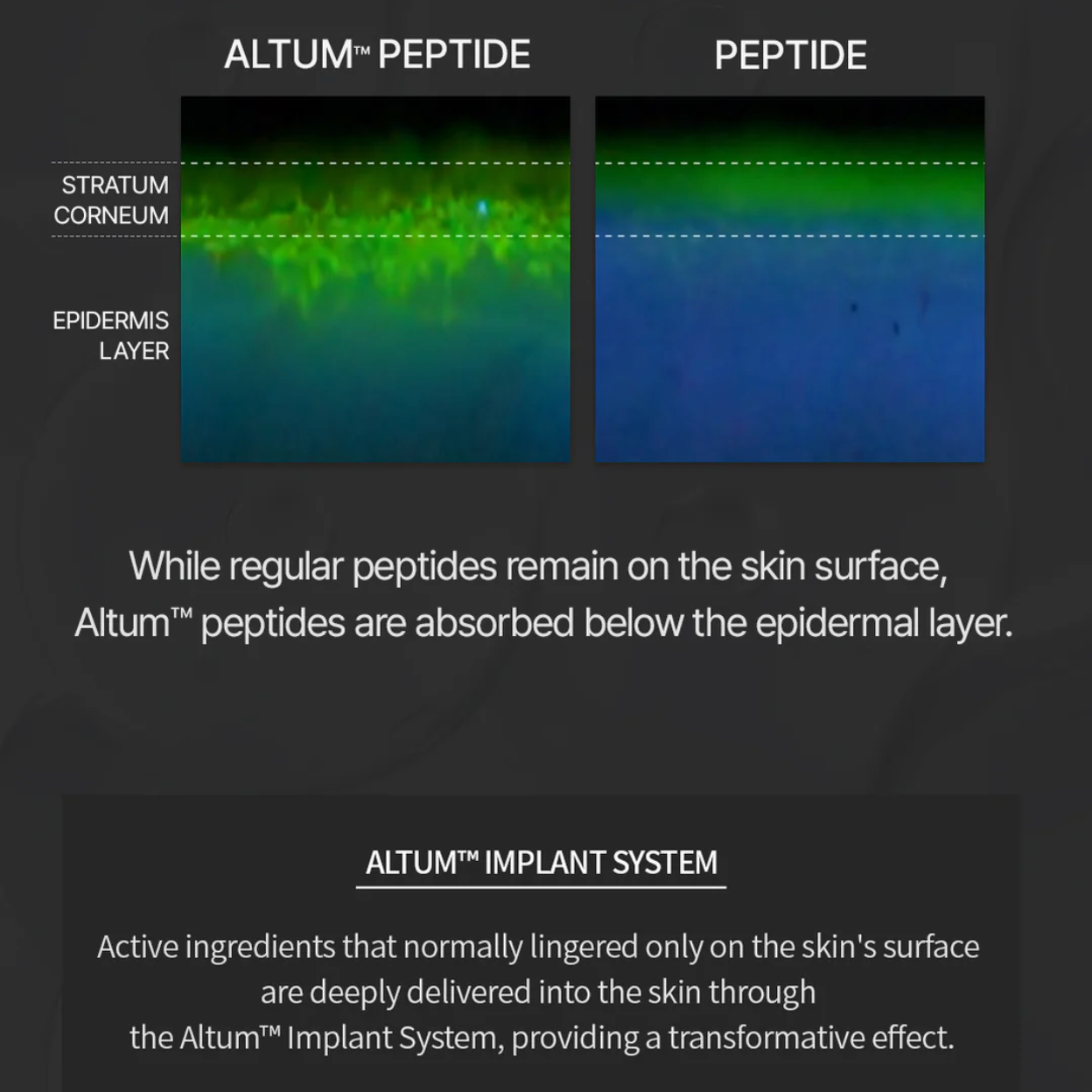 Revitalizing Spicule Boosting Serum